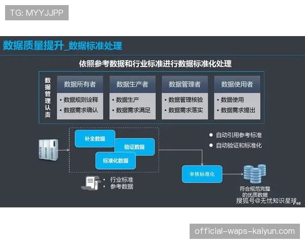 联盟数据治理：数据质量管理流程与工具推荐，数据质量治理总结报告