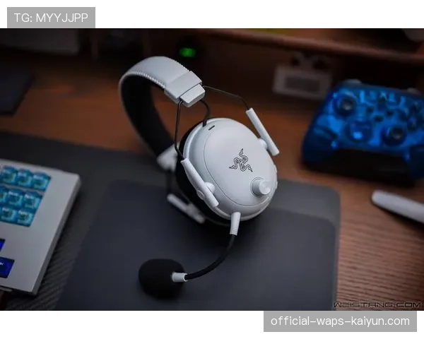 职业选手最爱的耳机设备曝光